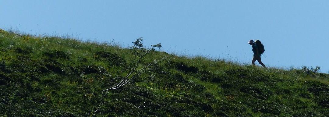 Meeet wird auch „unterwegs“ immer bekannter